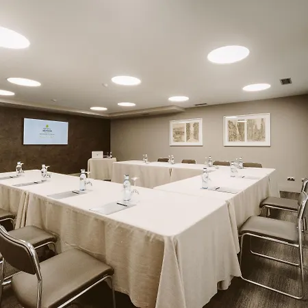 Hotel Ilunion Abando Bilbao فندق 4*